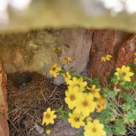 Villa Rural House Kod Slapa *