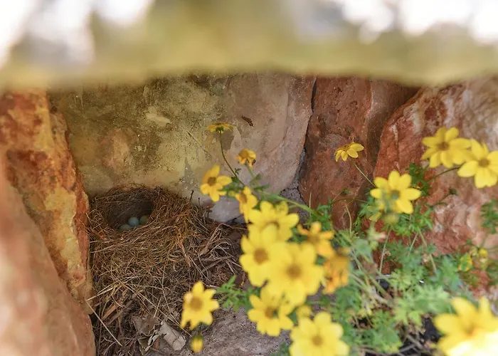 Villa Rural House Kod Slapa *